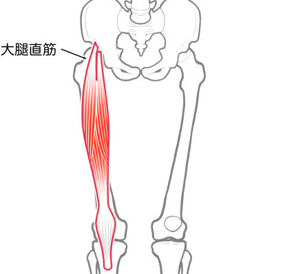 大腿直筋の構図