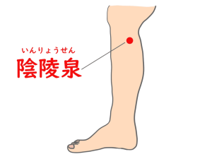 膝のツボ：陰陵泉